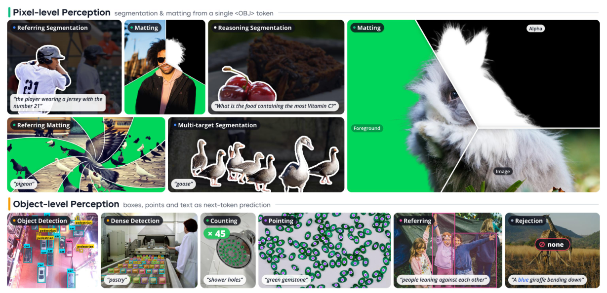 WeVisOne-VL object-level and pixel-level visual perception examples